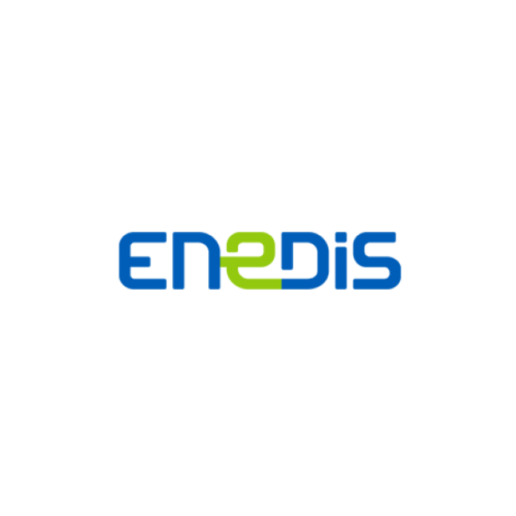 enedis logo