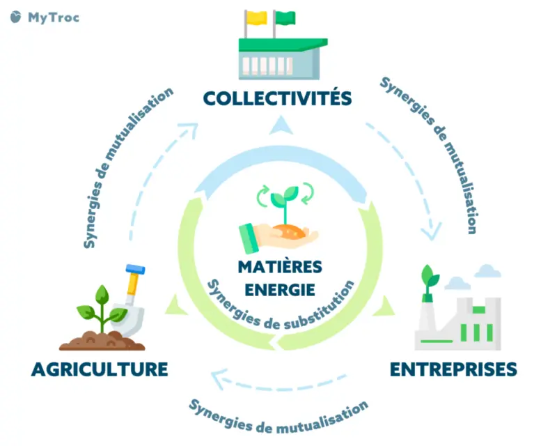 Schéma des synergies de l'écologie industrielle et territoriale, notamment les synergies de mutualisation.