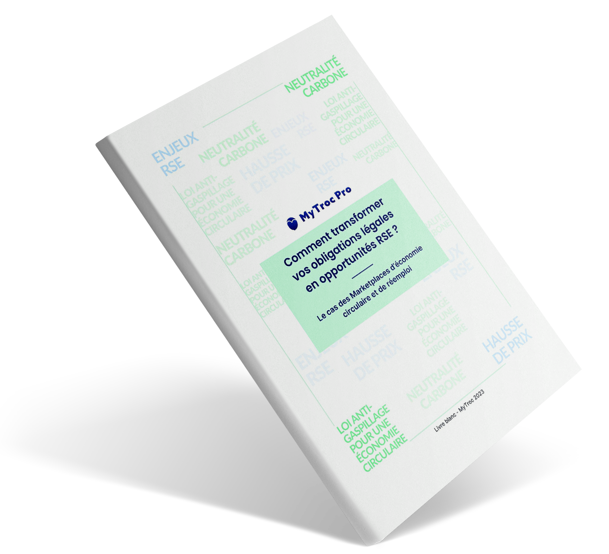 Reemploi Livre Blanc RSE