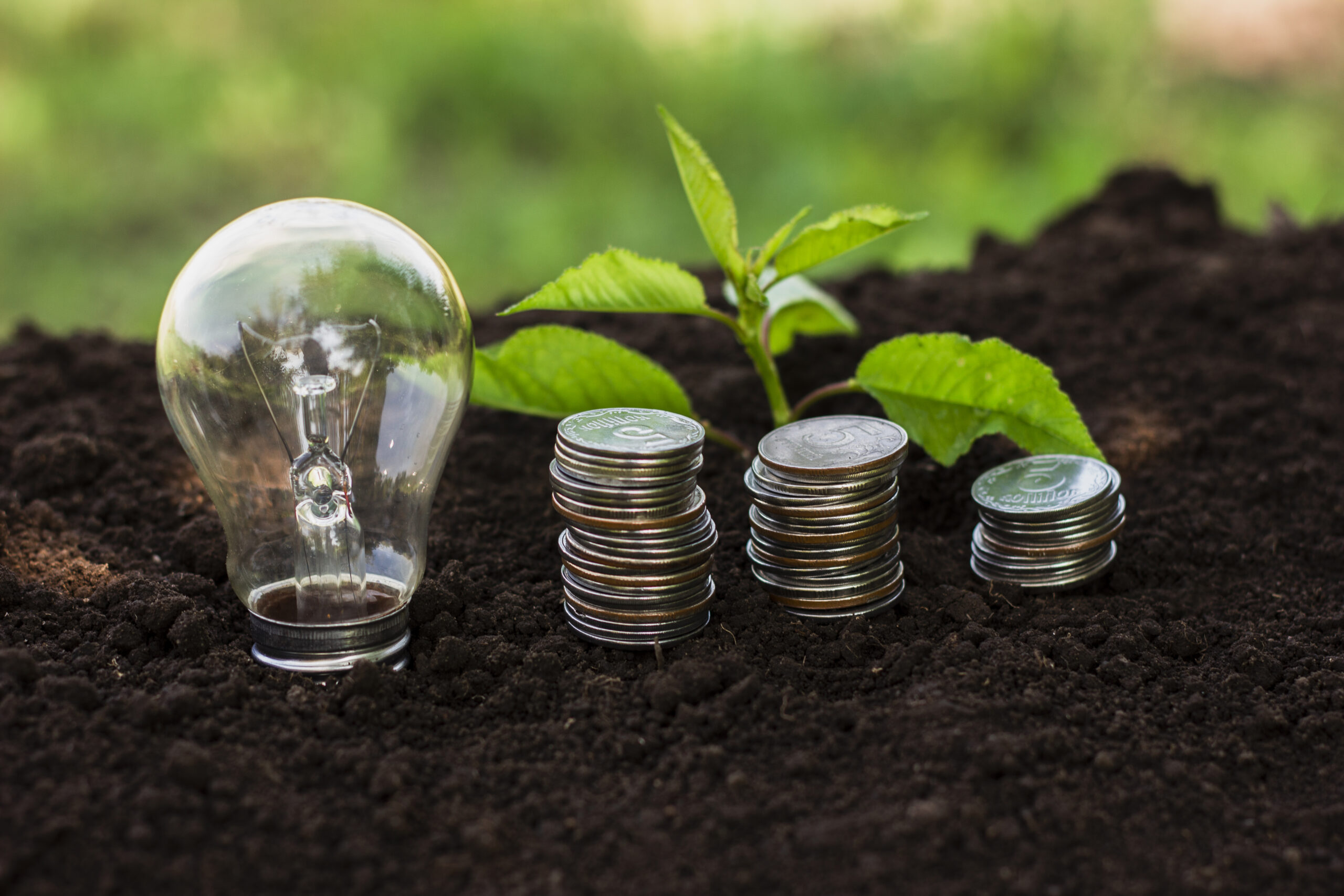 Loi de finances et économie circulaire : quels leviers pour votre stratégie RSE